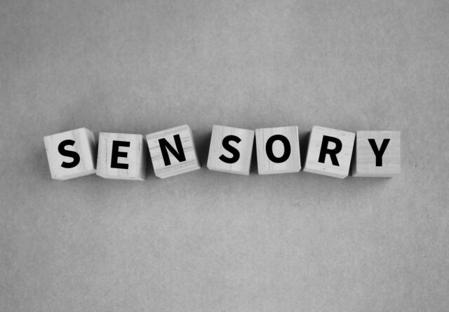 wooden block with the word SENSORY. concept of sense or organ hand, education, medical, brain, line, face, medicine, science, eye, skin, doodle, healthy, set, lips, body, vision, treatment, biology, taste, anatomy, system, human, organ, mouth, finger, eyesight, physiology, nose, ear, smell, perception, tongue, sight, sensory, cognitive, sense, receptor, senses, collection, auditory, sensation, body parts, feel, hear, hearing, listen, look, nervous, see, touch