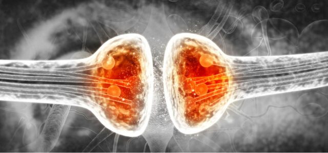 koerperdenken-neuroplastizitaet-mobile